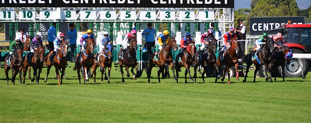 Jockeys on the Starting Line of a Horse Race